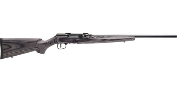 Savage A17 Target Sporter 17 HMR Autoloader Rifle with Button Rifled Barrel