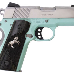 Colt Defender 9mm with Robins Egg Blue Cerakote Frame