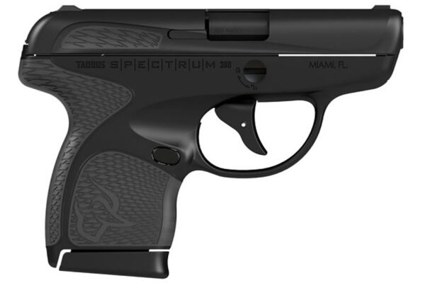 Taurus Spectrum 380 ACP Black/Gray Carry Conceal Pistol