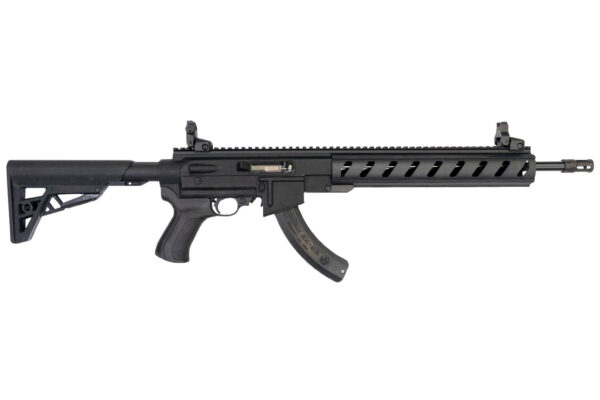 Ruger 10/22 Tactical 22LR with ATI AR-22 Stock