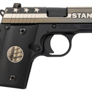 Sig Sauer P238 Stand 380 ACP Carry Conceal Pistol with Night Sights