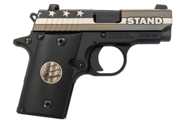 Sig Sauer P238 Stand 380 ACP Carry Conceal Pistol with Night Sights