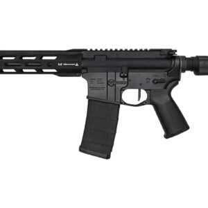 Rise Armament RA-300 223 Wylde AR Pistol with 11.5 in Barrel and SB Tactical Pistol Brace