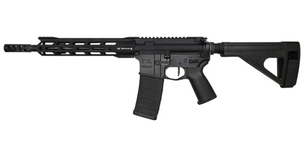 Rise Armament RA-300 223 Wylde AR Pistol with 11.5 in Barrel and SB Tactical Pistol Brace