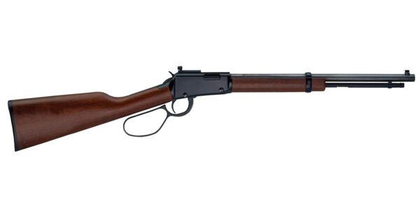 Henry Repeating Arms Small Game Carbine 22 WMR Large Loop Rifle