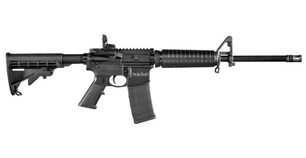 Smith & Wesson M&P15 Sport II 5.56mm Limited Edition We the People Rifle