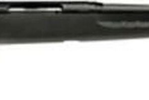 Savage Axis 308 Win, 22" Barrel, Matte Blue, Synthetic Stock, Detachable Box Mag, 4Rd, Right Hand
