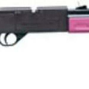 Crosman 760P .177 Air Rifle Pump, Black