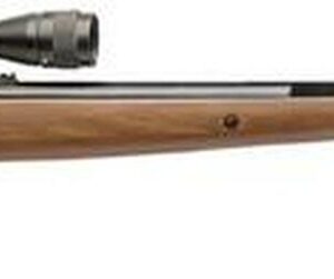 Benjamin Trail NP XL 1100 Air Rifle .22, 3-9x40mm Scope, Hardwood Stock