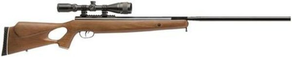 Benjamin Trail NP XL 1100 Air Rifle .22, 3-9x40mm Scope, Hardwood Stock