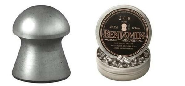 Crossman Benjamin Domed Pellets .25 Caliber