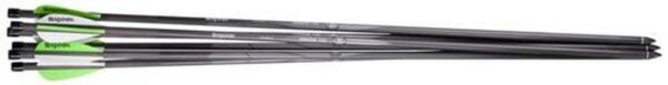 Benjamin Pioneer Arrows Universal Silver