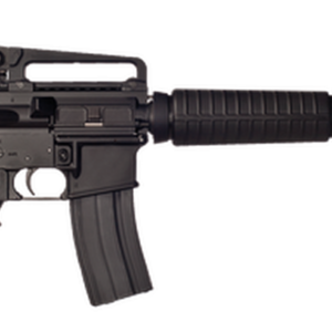 Bushmaster A3 Carbine .223/5.56 16" Barrel Detachable Carry Handle 30 Rd Mag