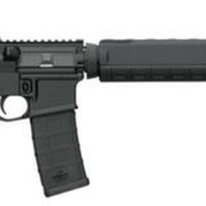 Bushmaster AR-15 MOE DISSIPATOR 5.56/223 16 Barrel 30 Rd Mag