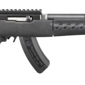 Ruger 22 Charger Takedown Railed Brace Mount 22 LR, Lightweight 10" Threaded Barrel,15Rd Mag, Includes Bipod