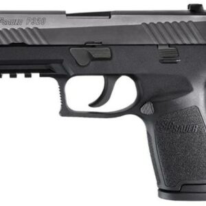 Sig P320 9mm 3.9" Barrel Nitron Siglite Nite Sites Modular Grip, Rail 2-15Rd Mags